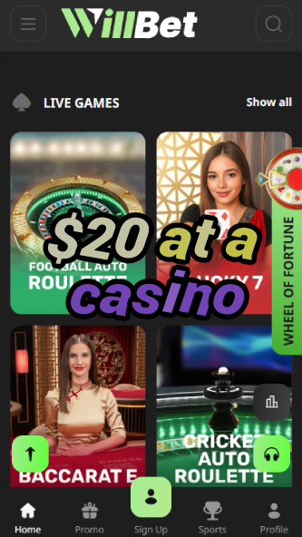 $20 at a Casino - Best Budget Casino Experience-www.bdqngd.com