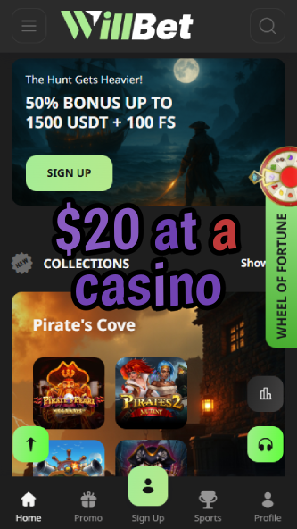 $20 at a Casino - Best Budget Casino Experience-www.bdqngd.com